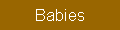 zur Seite 'Katzen-Babies'
